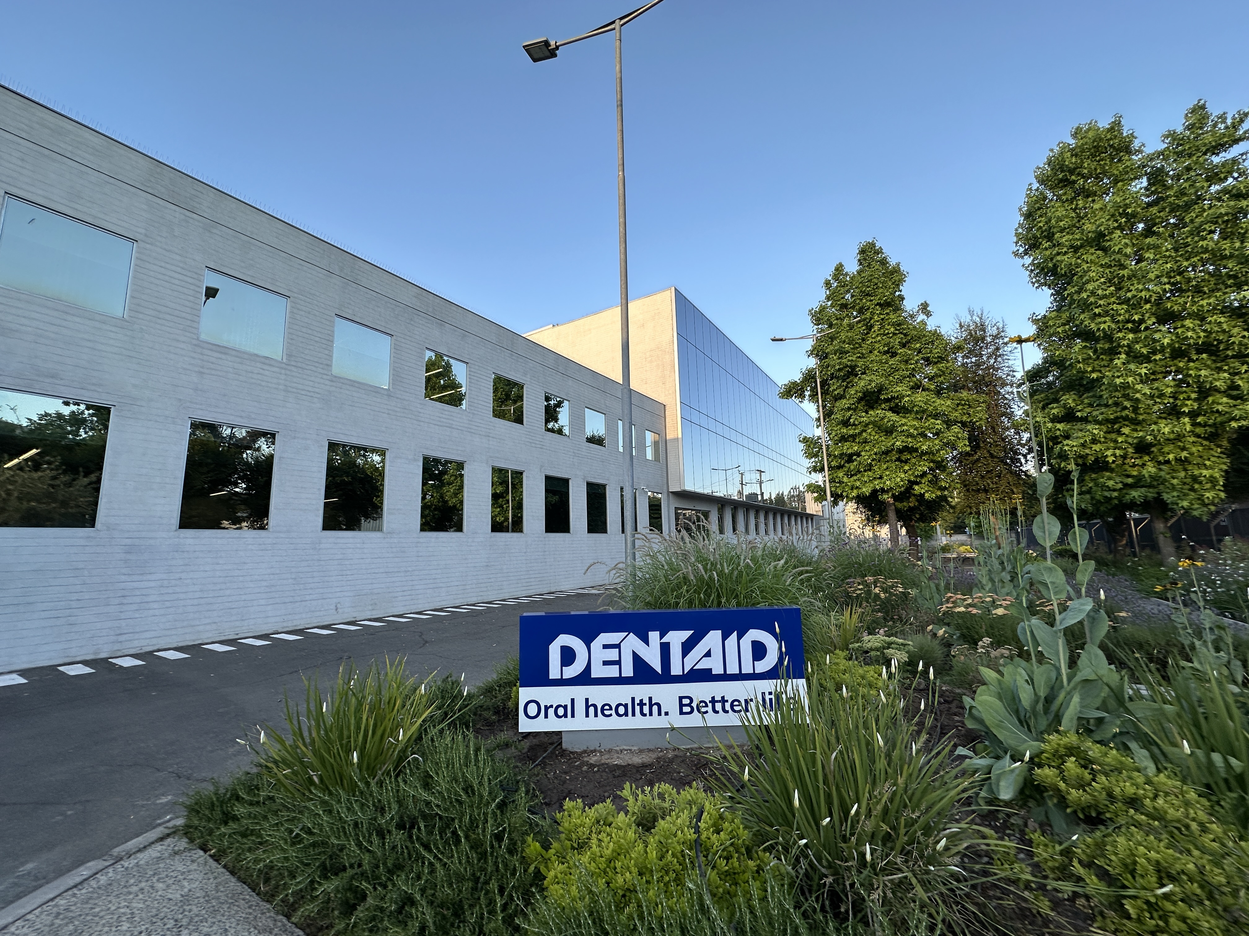 Image sede dentaid